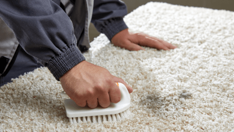 Professional Rug Cleaning Bittern