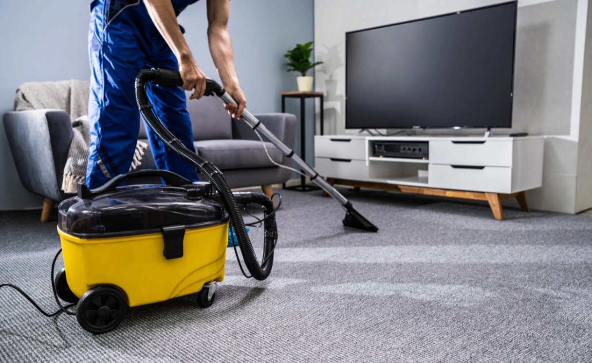 Extract Rug Cleaning Bittern Contact Office